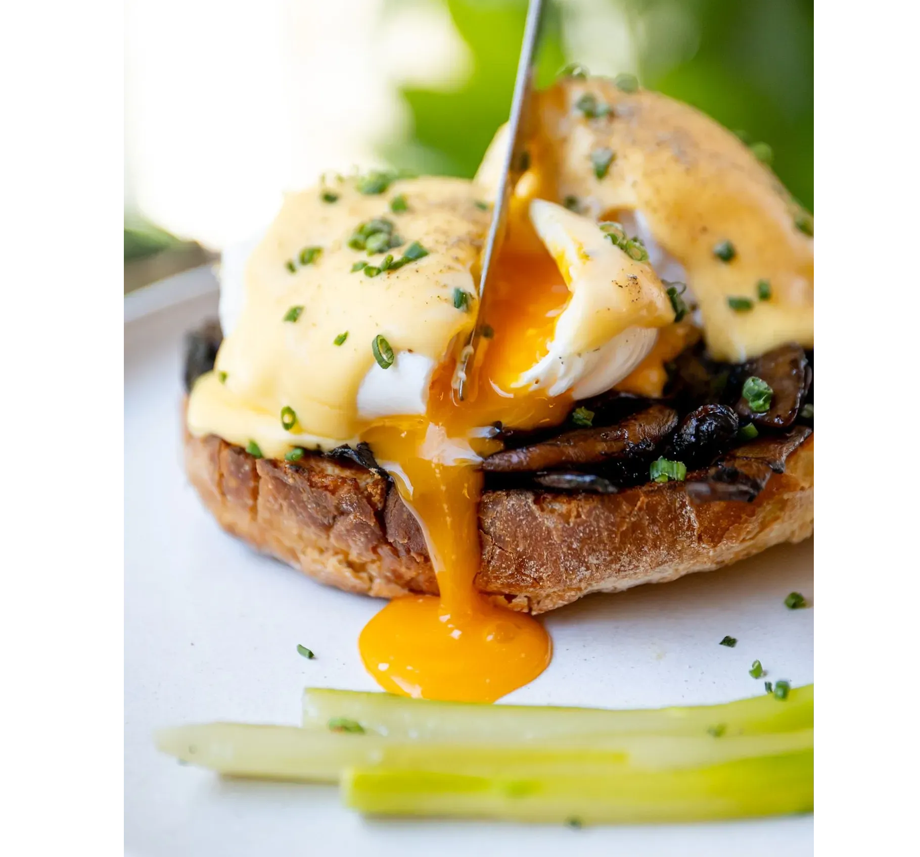 Quest signature coffee