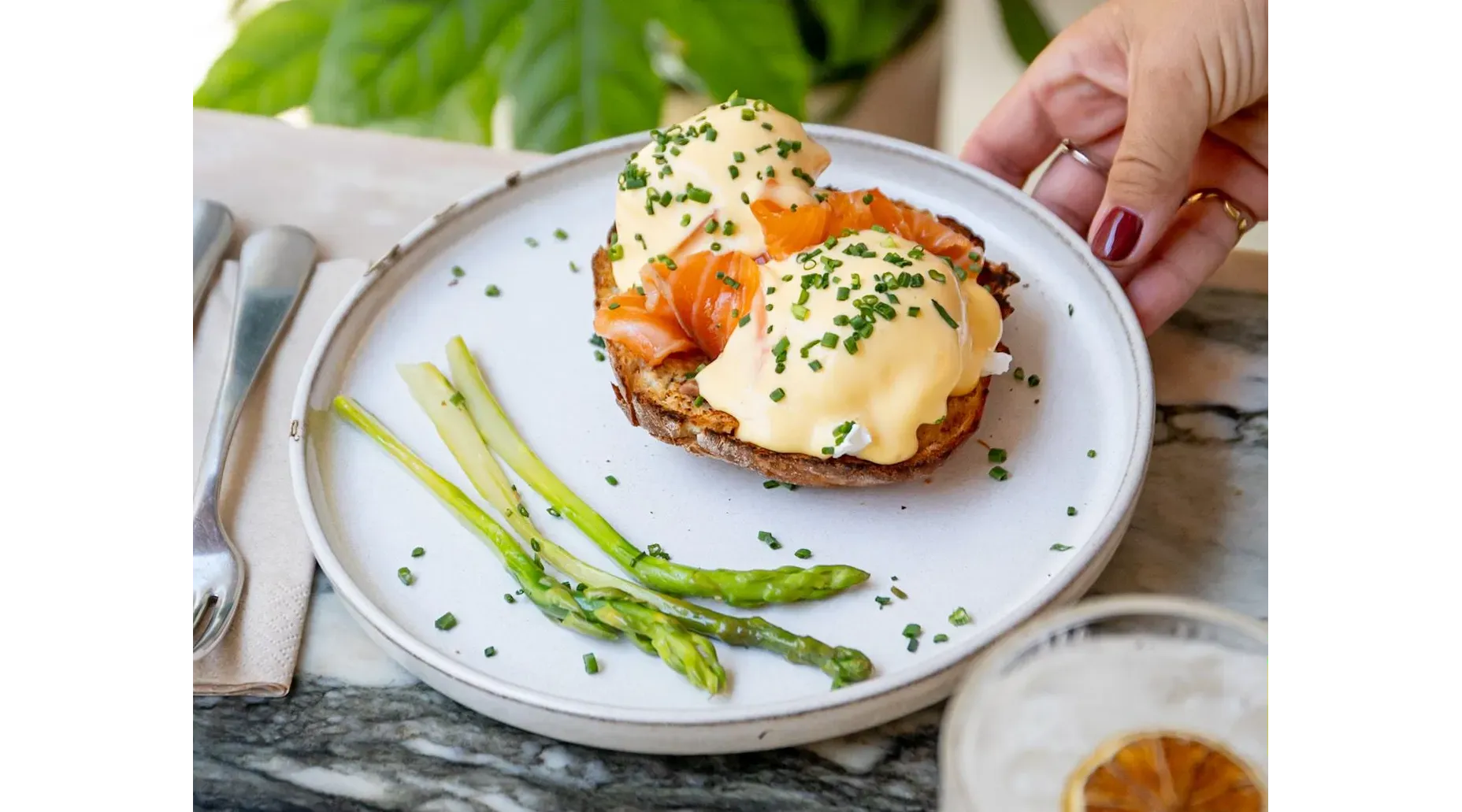 Salmon eggs benedict